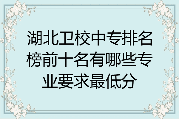 湖北卫校中专排名榜前十名有哪些专业要求最低分