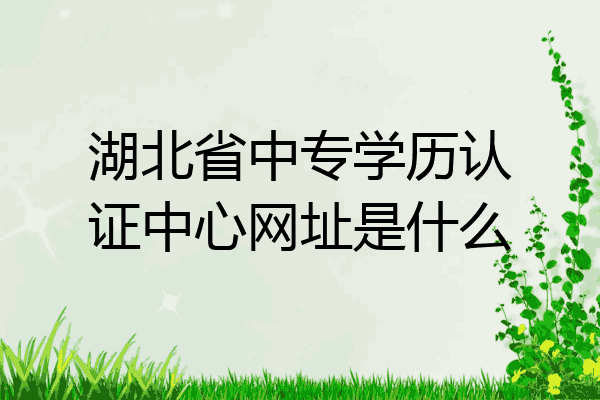 湖北省中专学历认证中心网址是什么