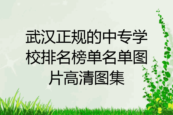 武汉正规的中专学校排名榜单名单图片高清图集