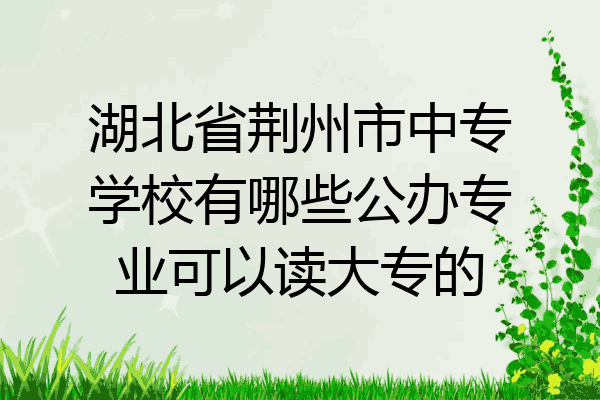 湖北省荆州市中专学校有哪些公办专业可以读大专的