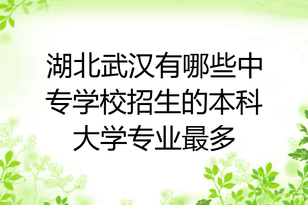 湖北武汉有哪些中专学校招生的本科大学专业最多