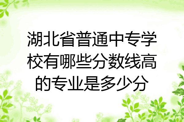 湖北省普通中专学校有哪些分数线高的专业是多少分