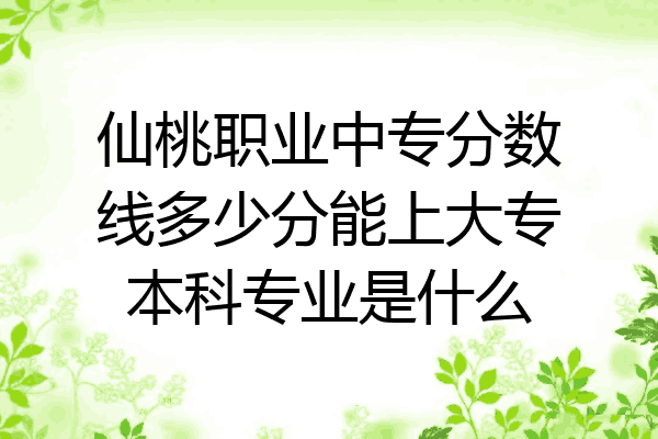 仙桃职业中专分数线多少分能上大专本科专业是什么