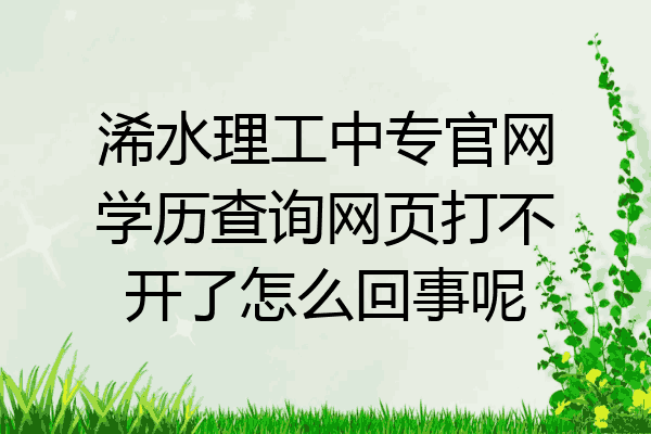 浠水理工中专官网学历查询网页打不开了怎么回事呢