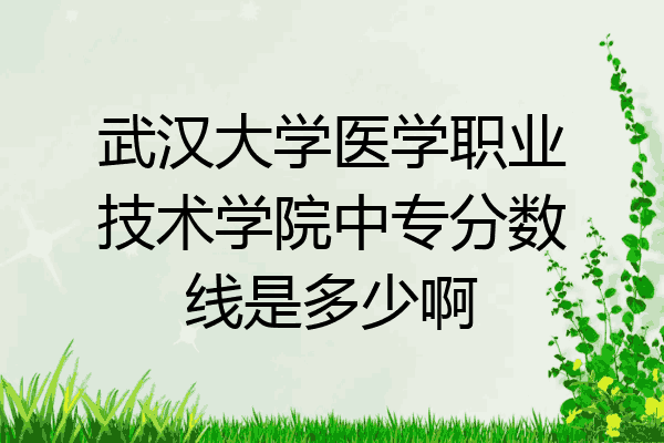 武汉大学医学职业技术学院中专分数线是多少啊