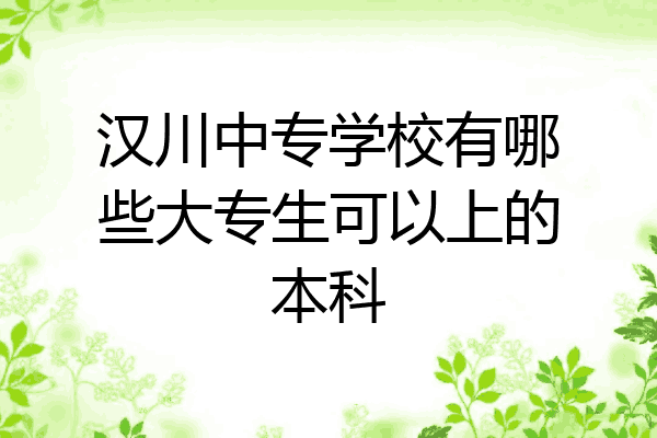 汉川中专学校有哪些大专生可以上的本科