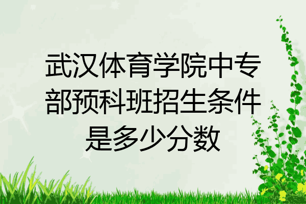 武汉体育学院中专部预科班招生条件是多少分数