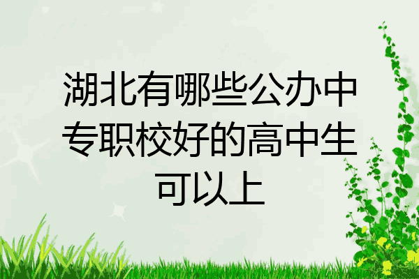 湖北有哪些公办中专职校好的高中生可以上