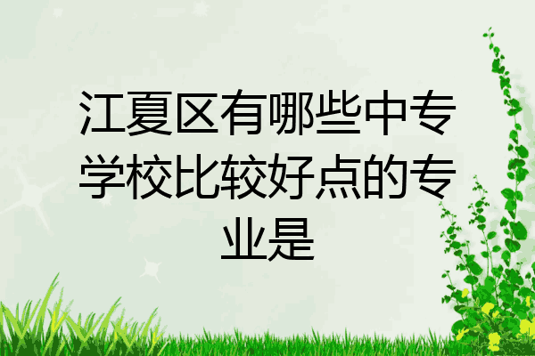 江夏区有哪些中专学校比较好点的专业是