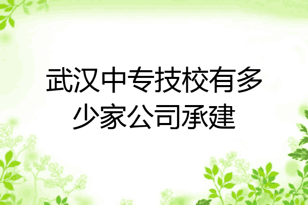 武汉中专技校有多少家公司承建