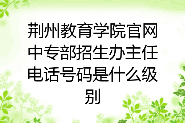 荆州教育学院官网中专部招生办主任电话号码是什么级别