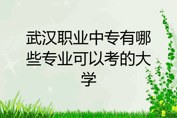武汉职业中专有哪些专业可以考的大学