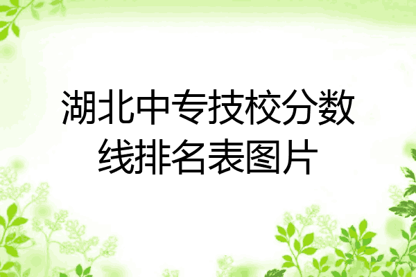 湖北中专技校分数线排名表图片