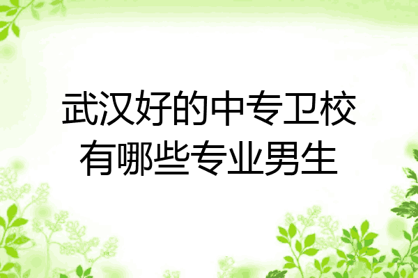 武汉好的中专卫校有哪些专业男生
