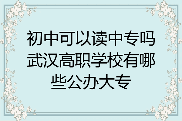 初中可以读中专吗武汉高职学校有哪些公办大专