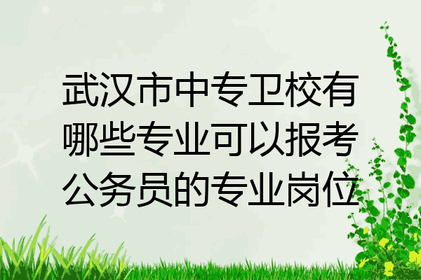 武汉市中专卫校有哪些专业可以报考公务员的专业岗位