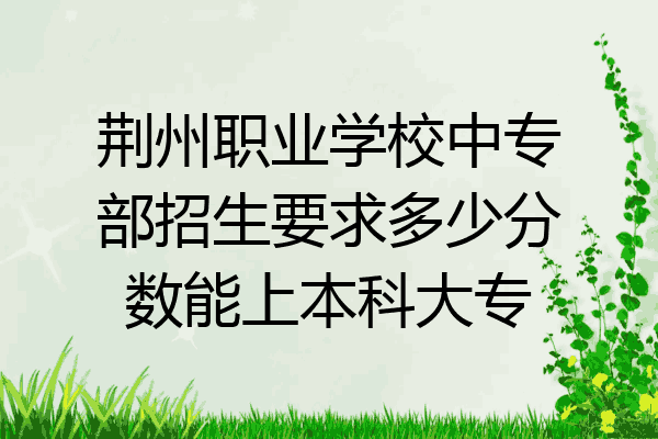 荆州职业学校中专部招生要求多少分数能上本科大专