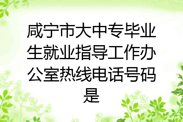 咸宁市大中专毕业生就业指导工作办公室热线电话号码是