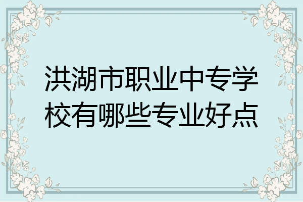 洪湖市职业中专学校有哪些专业好点