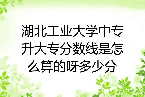 湖北工业大学中专升大专分数线是怎么算的呀多少分