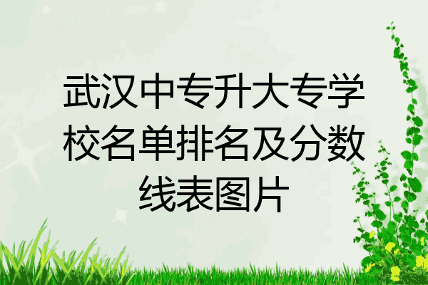 武汉中专升大专学校名单排名及分数线表图片