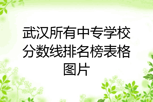武汉所有中专学校分数线排名榜表格图片