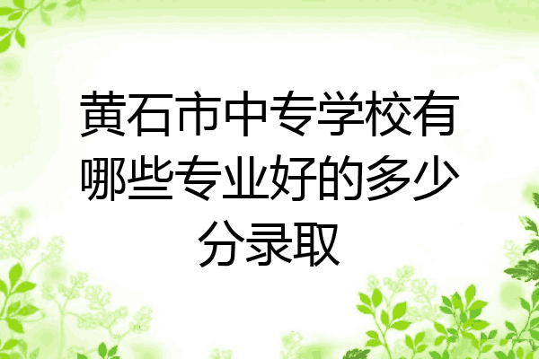 黄石市中专学校有哪些专业好的多少分录取