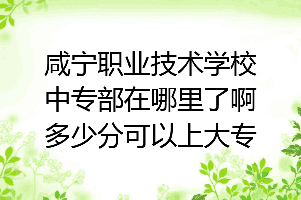 咸宁职业技术学校中专部在哪里了啊多少分可以上大专