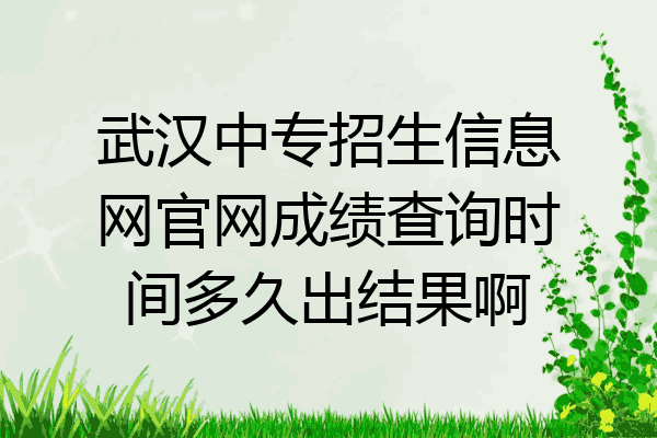 武汉中专招生信息网官网成绩查询时间多久出结果啊