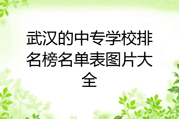 武汉的中专学校排名榜名单表图片大全