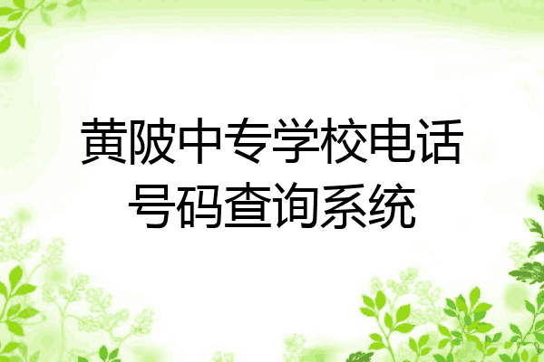 黄陂中专学校电话号码查询系统