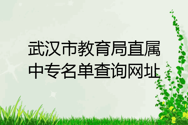 武汉市教育局直属中专名单查询网址
