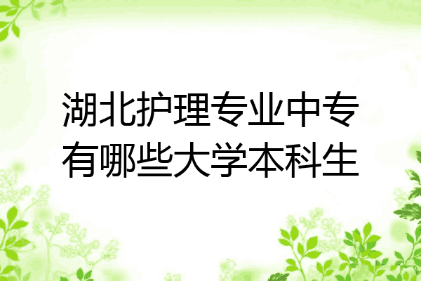 湖北护理专业中专有哪些大学本科生