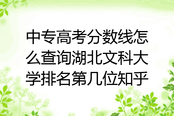 中专高考分数线怎么查询湖北文科大学排名第几位知乎