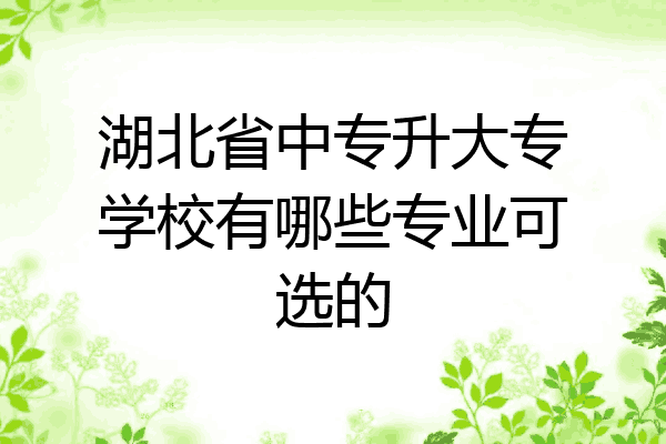 湖北省中专升大专学校有哪些专业可选的