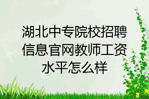 湖北中专院校招聘信息官网教师工资水平怎么样