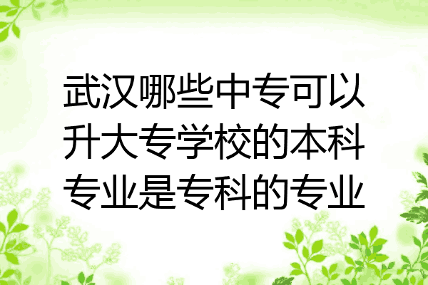 武汉哪些中专可以升大专学校的本科专业是专科的专业