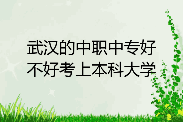 武汉的中职中专好不好考上本科大学