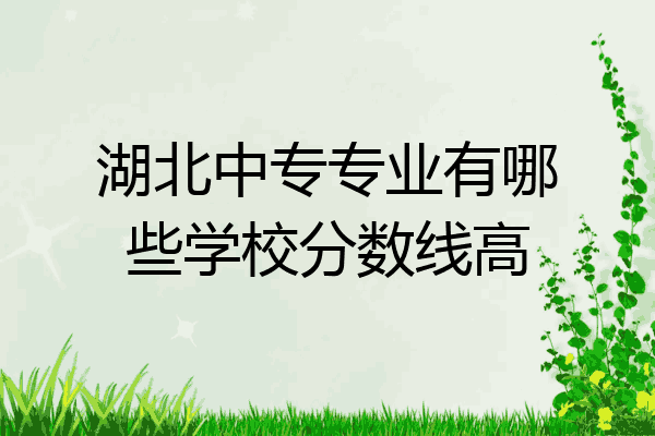 湖北中专专业有哪些学校分数线高