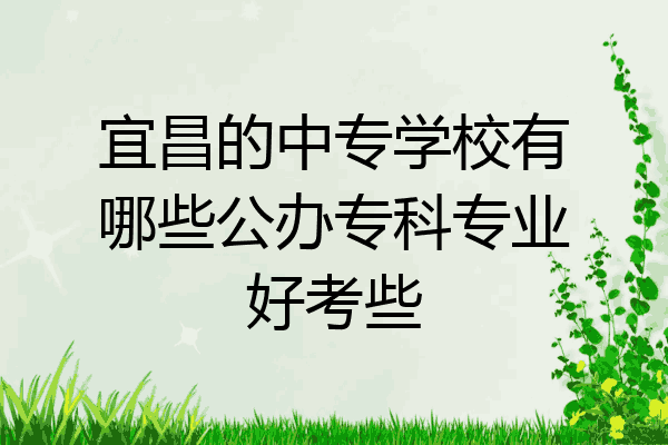 宜昌的中专学校有哪些公办专科专业好考些