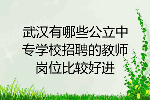武汉有哪些公立中专学校招聘的教师岗位比较好进