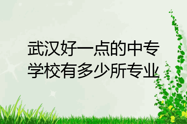 武汉好一点的中专学校有多少所专业