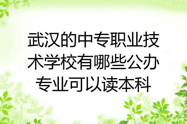 武汉的中专职业技术学校有哪些公办专业可以读本科