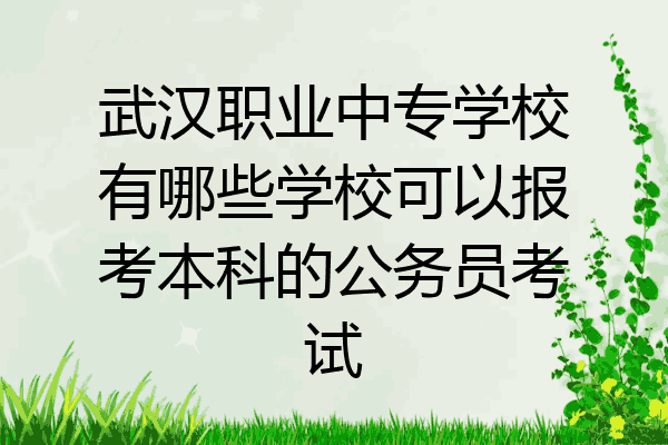 武汉职业中专学校有哪些学校可以报考本科的公务员考试