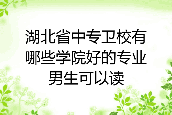 湖北省中专卫校有哪些学院好的专业男生可以读