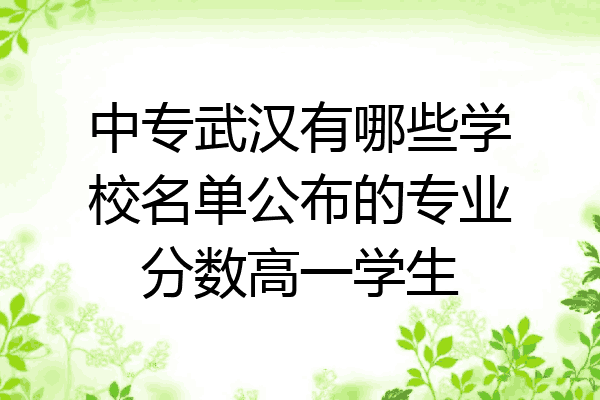 中专武汉有哪些学校名单公布的专业分数高一学生