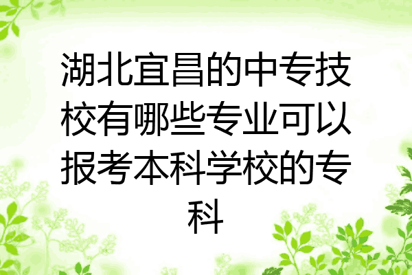 湖北宜昌的中专技校有哪些专业可以报考本科学校的专科