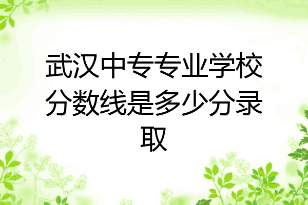 武汉中专专业学校分数线是多少分录取