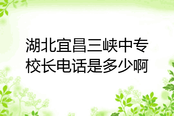 湖北宜昌三峡中专校长电话是多少啊