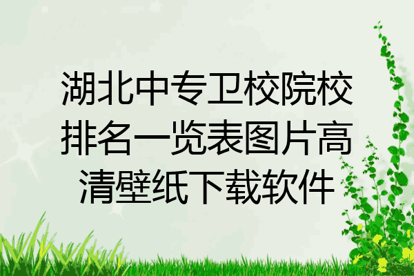 湖北中专卫校院校排名一览表图片高清壁纸下载软件